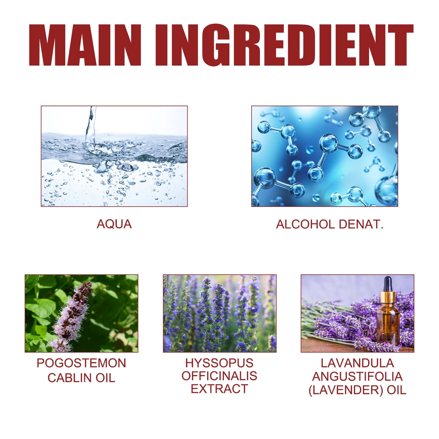 EDP Perfume for Women with Good Smell Factory Wholesales High Quality Long Lasting Fragrance