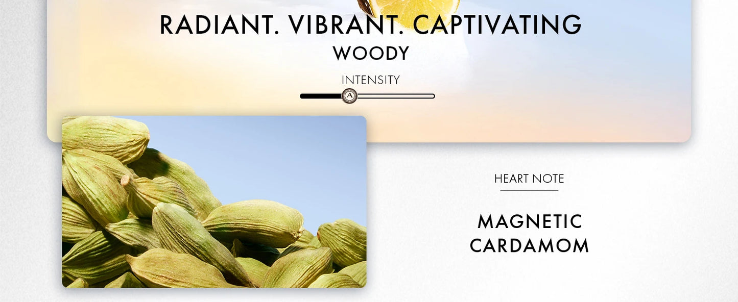 Azzaro Wanted Eau De Toilette - Vibrant & Irresistible Mens Cologne - Woody, Vetiver - Everyday Wear - Luxury Perfumes for Men